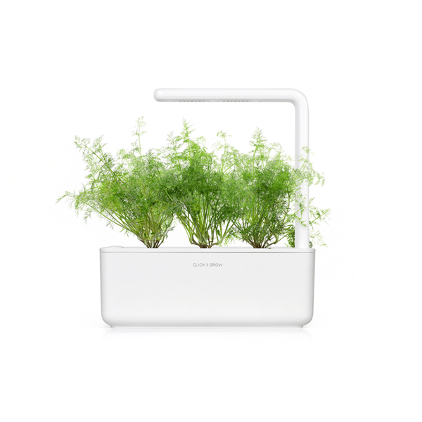 Smart Garden -täyttöpakkaus, 3 kpl - Tilli