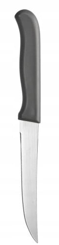 Køkkenkniv med sav Denis 21cm