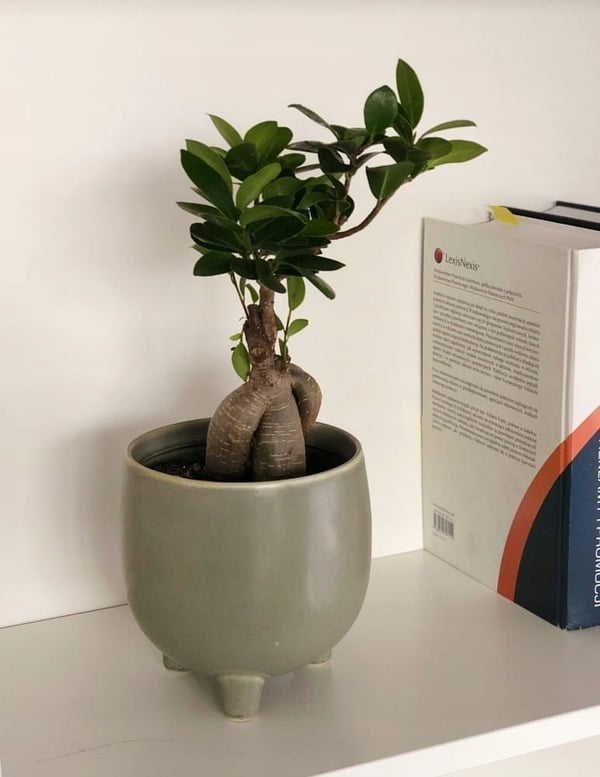 Keramisk potte med ben 12 cm oliven
