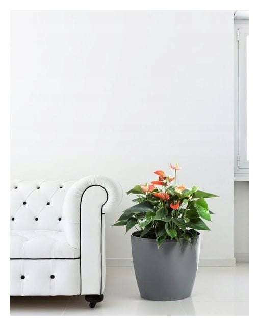 Grå plastik potte 12 cm Magnolia