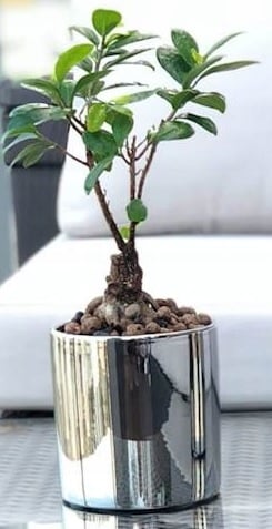 Keraaminen kotelo, hopea, lieriö, 16 cm