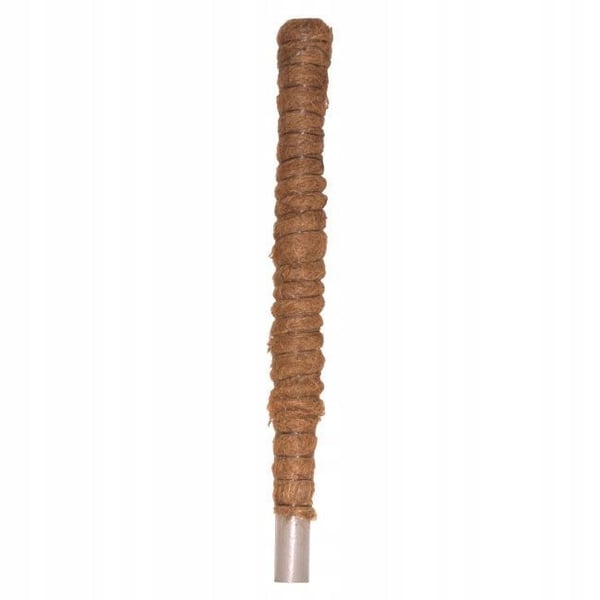 Kokospåle Eko växtstöd 50 cm