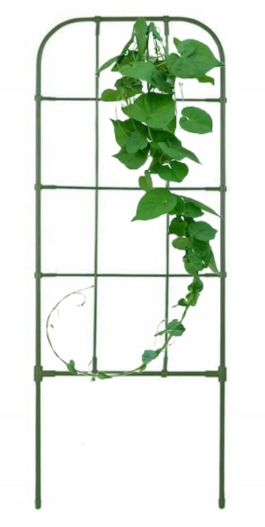 Stöd för klätterväxter, grönt, 75 cm