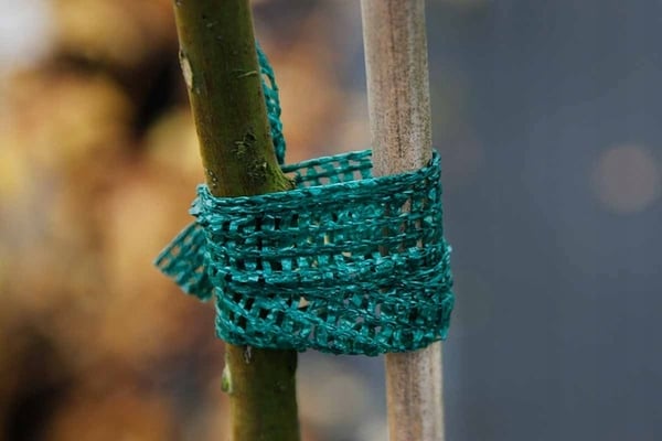Havebånd til plantebinding 2,4 cm x 50 m