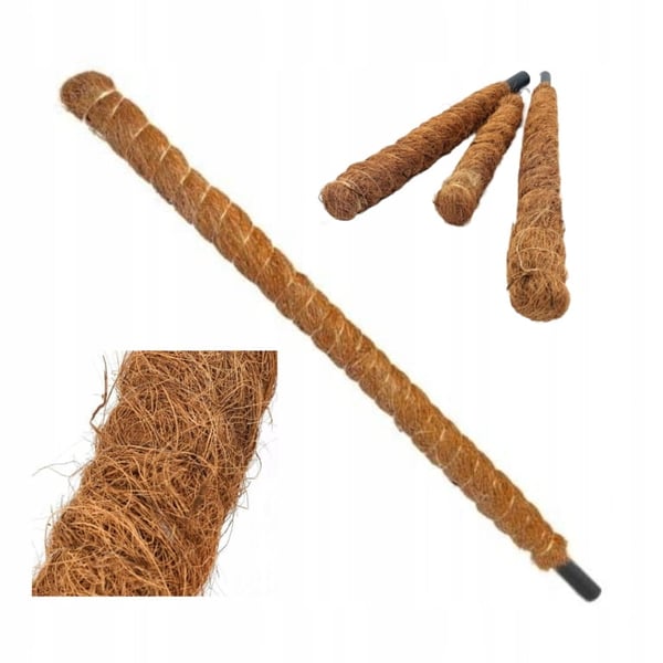 Dekorativ kokospåle, ekologiskt växtstöd, 120 cm