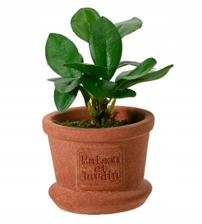Kunstig plante i dekorativ potte 8x17cm grøn dekorativ