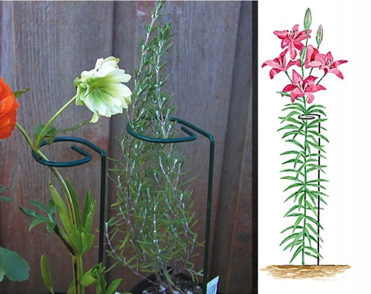 Växtstöd 3x90cm Stål pulverlackerat grönt