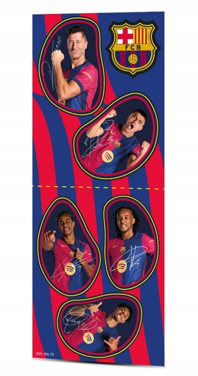 Suodatuspullo Dafi Solid FC Barcelona 0,7 l FCB-vaakunalla ja tarroilla