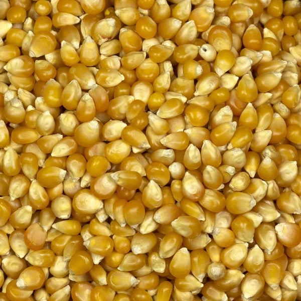 Popcorn 1 kg