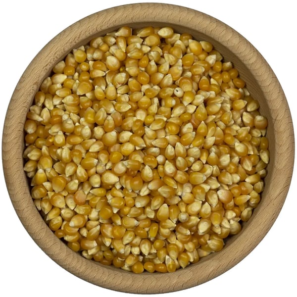 Popcorn 500g
