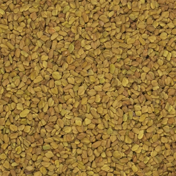Buksbaumfrøkløver 500 g
