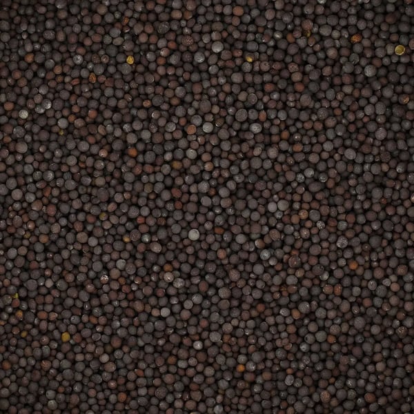 Mustat sinapinsiemenet 200 g