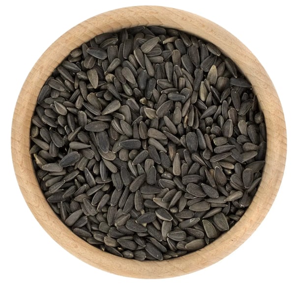 Svart solros för fåglar 1 kg