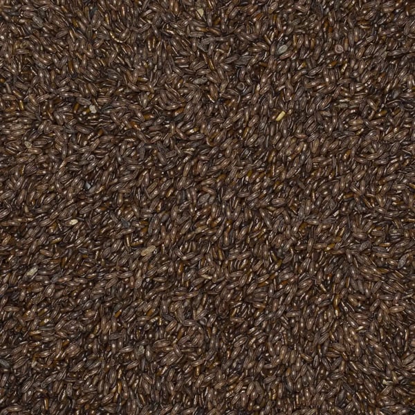 Psylliumkuori 1 kg