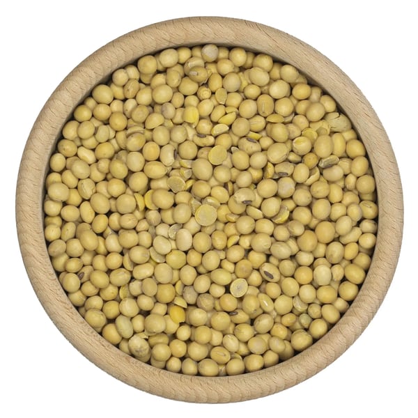 Soijapapujen siemenet 1 kg