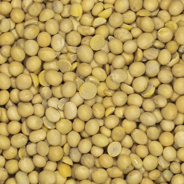Soijapapujen siemenet 1 kg
