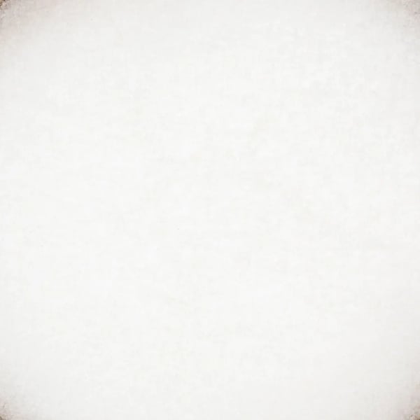 Suolakurkku 100g