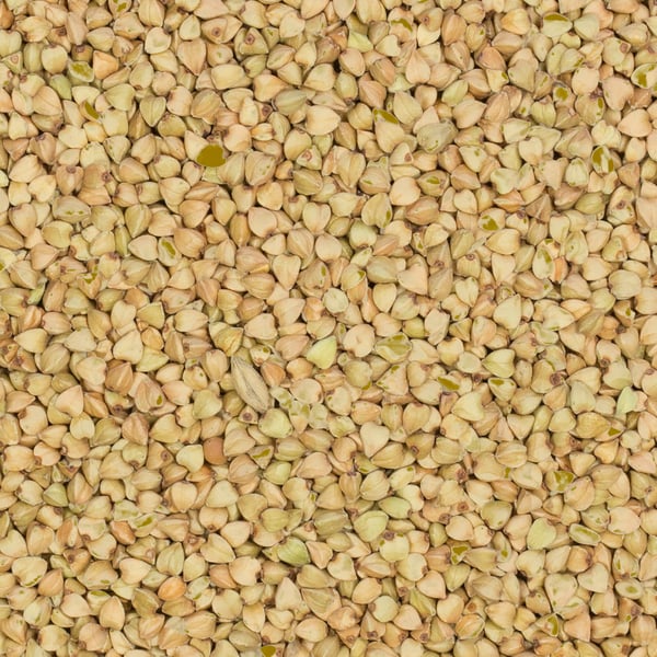 Orostade bovetefrön 1 kg