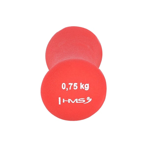 17025 Rautainen painolevypari neopreeniä päällystetty HMS 2.0 kg