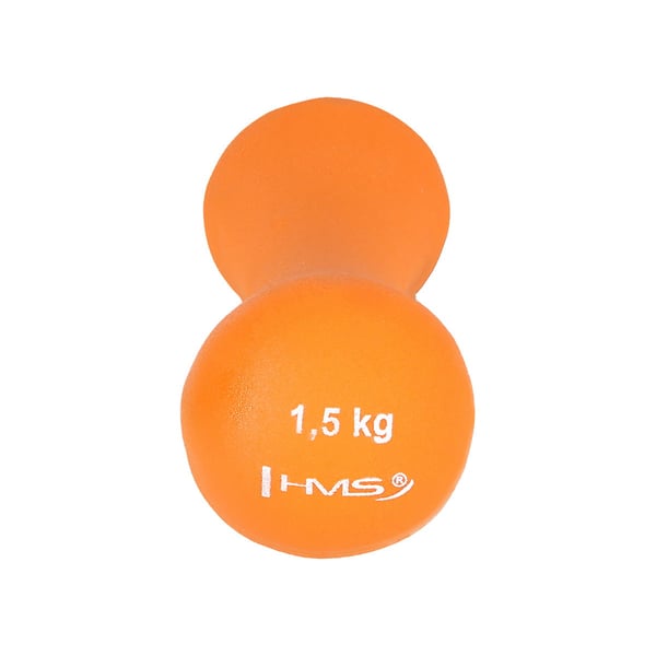 17025 Rautainen painolevypari neopreeniä päällystetty HMS 2.0 kg