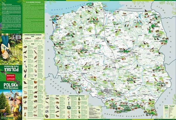 Polen. Nationalparker. Foldekort til børn + malebog. 2025-udgave. Galileos