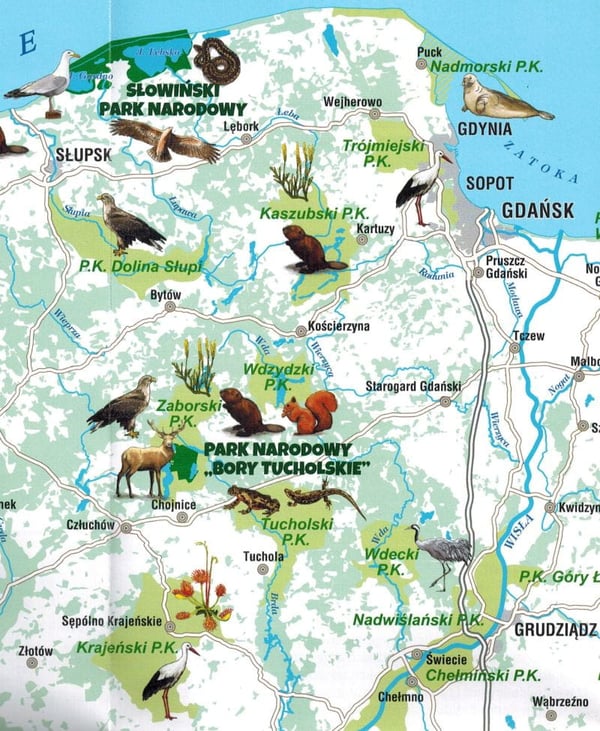 Polen. Nationalparker. Foldekort til børn + malebog. 2025-udgave. Galileos