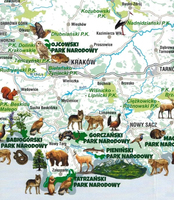 Polen. Nationalparker. Foldekort til børn + malebog. 2025-udgave. Galileos