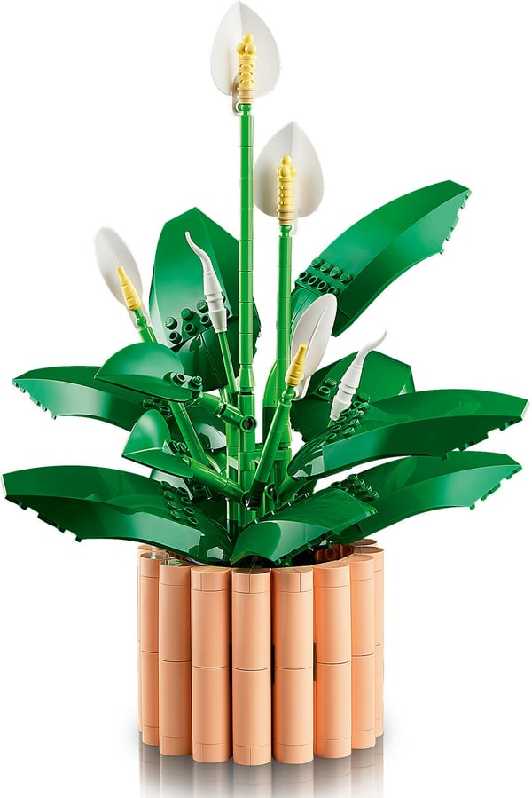 LEGO Botanicals 11504 Fredskalla