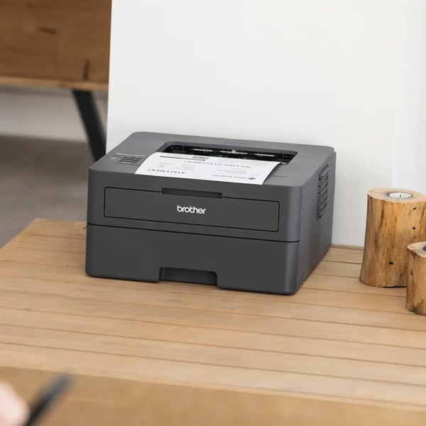 Brother HL-L2400DW - svartvit laserskrivare