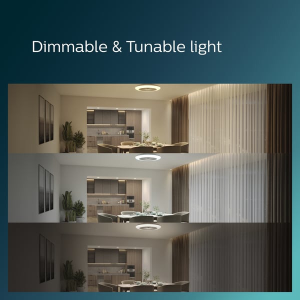 Philips Amigo Flat Fan Ceiling IR RD 20W+42W -fläktlampa, vit