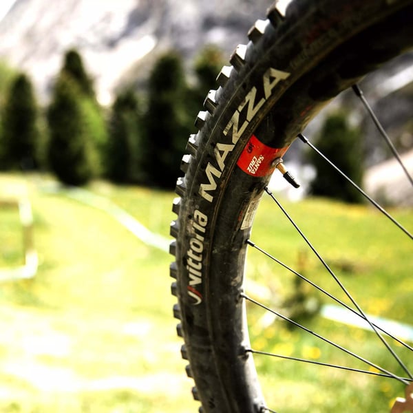 Vittoria Mazza Race TLR G2 -dæk, 29x2,4"
