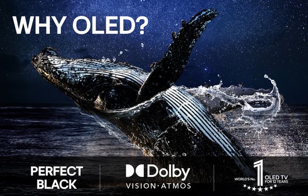 LG 65'' OLED evo G5 – 4K-TV med stativ