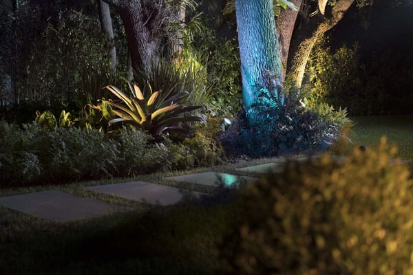 Philips Lily XL HUE Outdoor vit och färg ambiance -trädgårdsspotlight, 24 V, 24 cm, antracit, för utomhusbruk 15 W