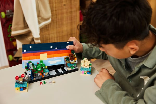 LEGO Minecraft 21589 Minibiomer