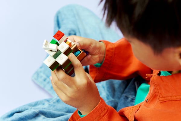 LEGO Minecraft 21583 Steves äventyr i Taigaskogen