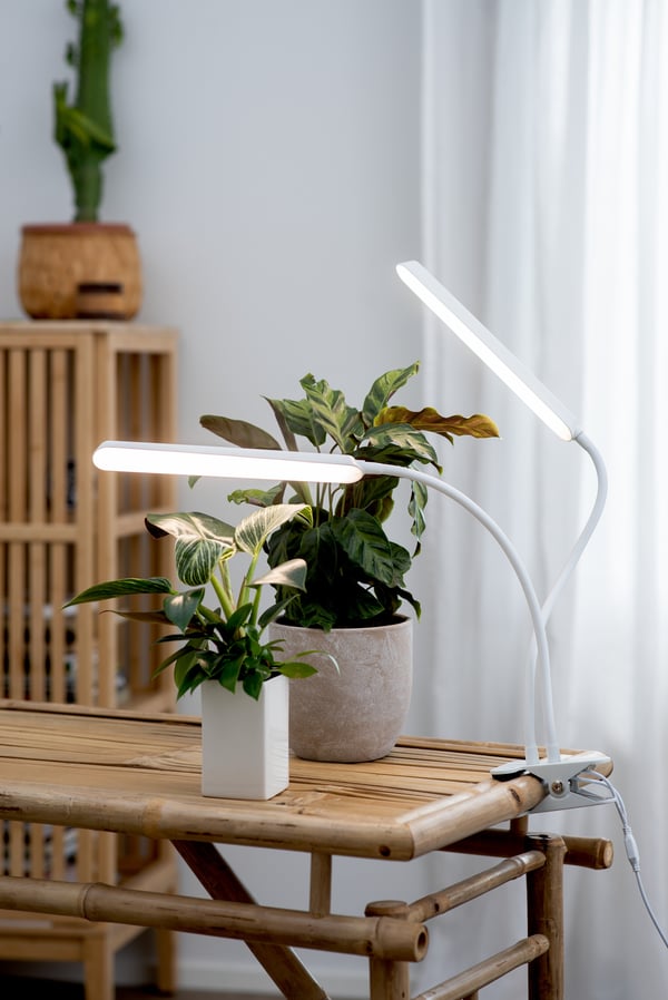 Airam Tulip -växtbelysning, 16W/840, 780 lm, vit
