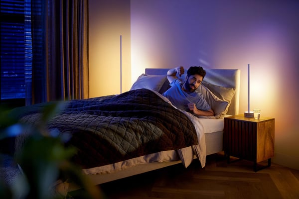 Philips Hue Gradient Signe ek -smartbordslampa, ek/vit
