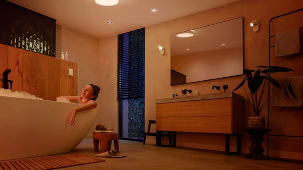 Philips Hue Devere hvid ambiance - smart loftlampe, M-størrelse, IP44, hvid