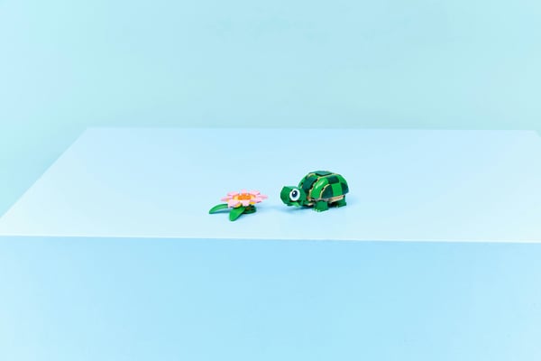LEGO Creator 31377 Sköldpadda och näckros 3-i-1