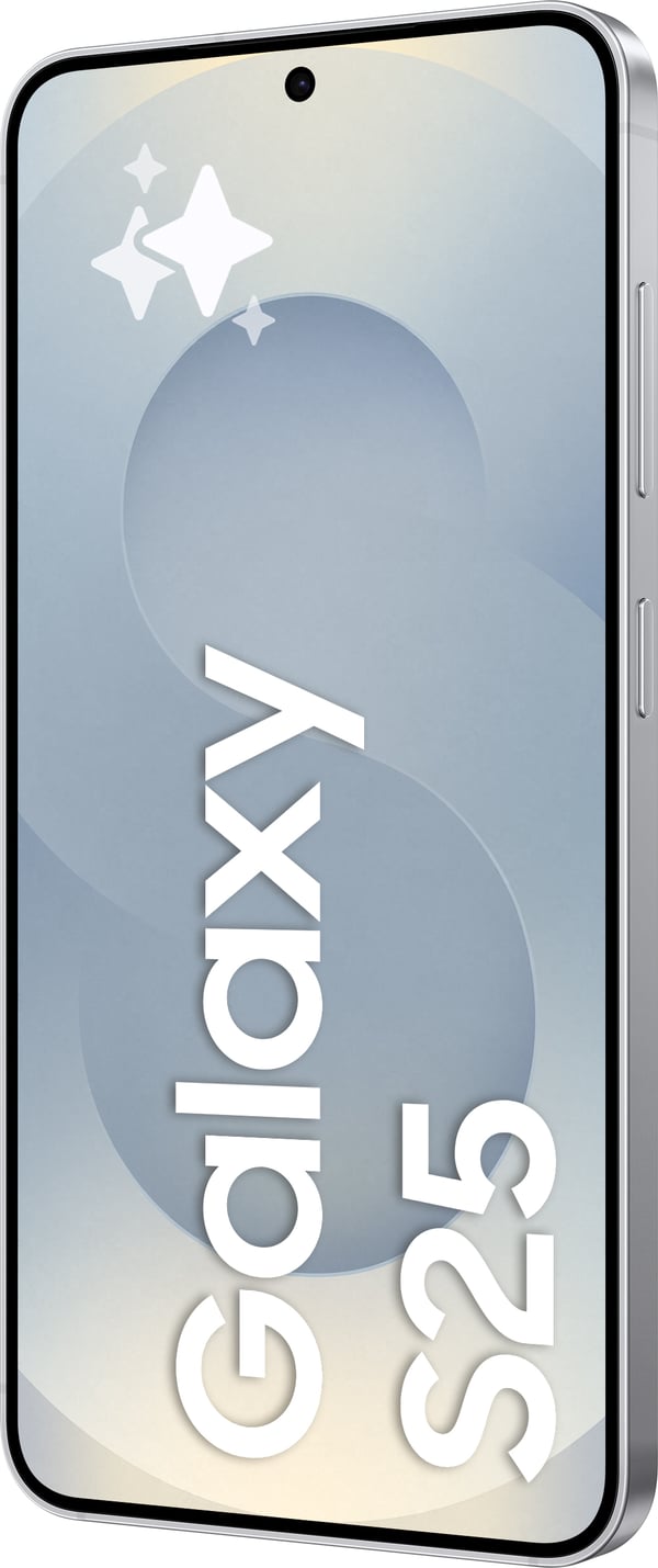Samsung Galaxy S25 5G Enterprise Edition telefon, 128/12 GB, Silver Shadow