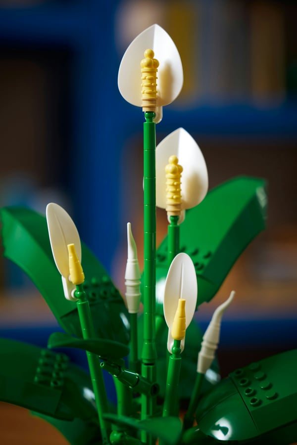 LEGO Botanicals 11504 Fredskalla