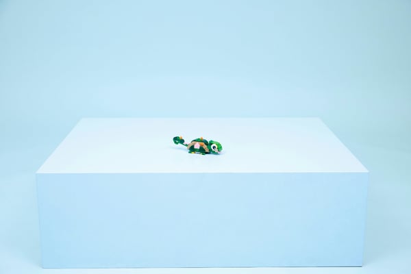 LEGO Creator 31377 Sköldpadda och näckros 3-i-1