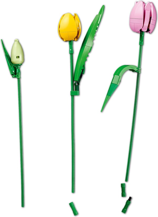 LEGO Botanicals 11501 Tulpanbukett