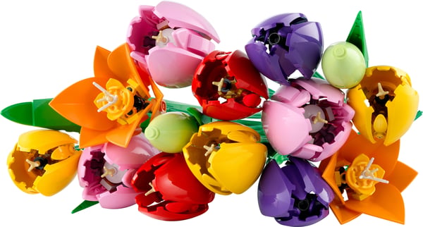 LEGO Botanicals 11501 Tulpanbukett