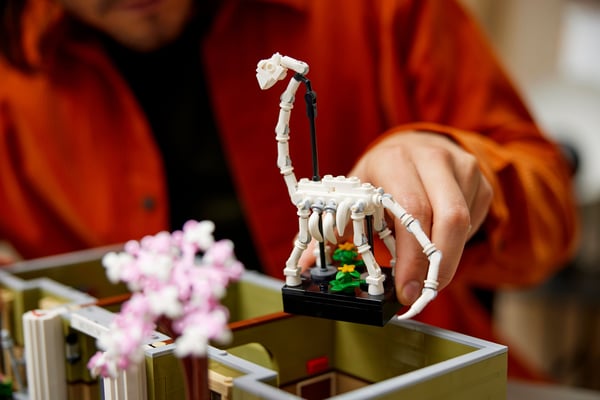 LEGO Icons Naturhistoriskt museum Byggset 10326