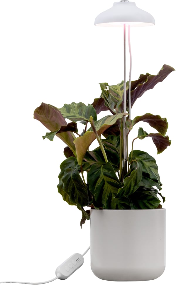 Airam Iris -plantelampe, IP20, 5W, 240 lm, hvid