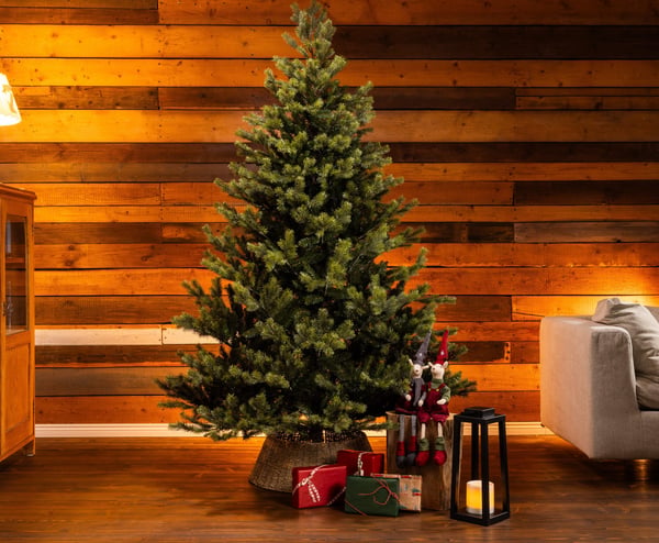 Enne Noble fir äkta utseende julgran, 215 cm, grön