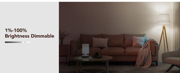 Govee WIFI & Bluetooth smartlampa, 800 lm, E27