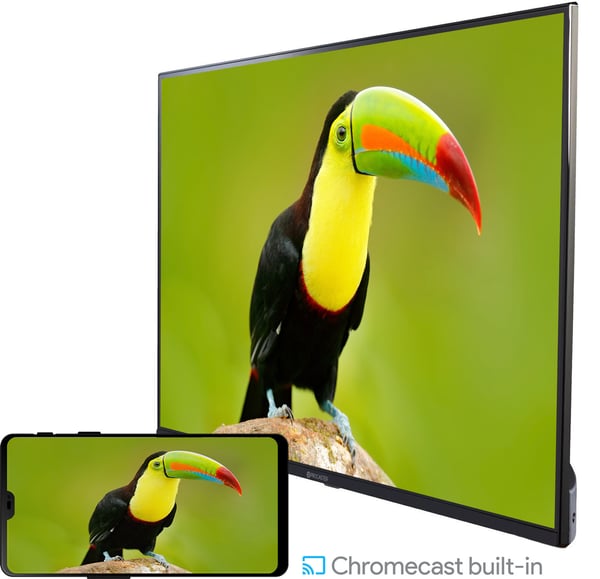 ProCaster 55SL901H 55" 4K Android LED-TV