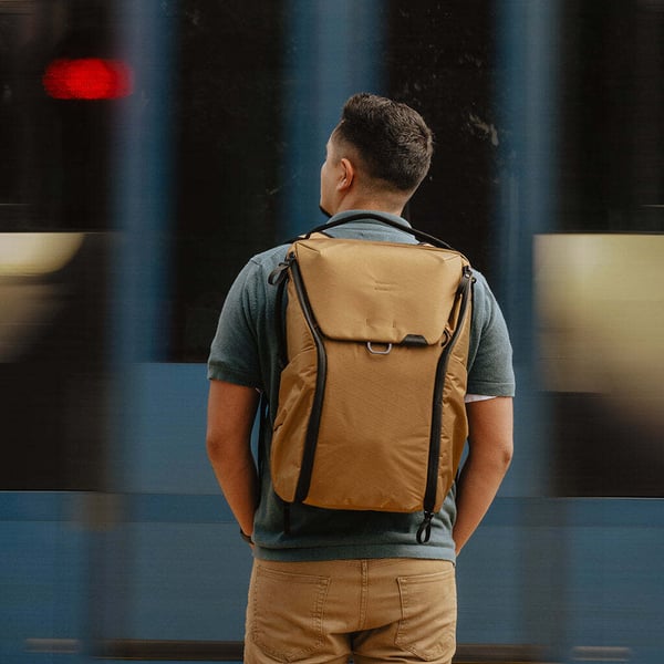 Peak Design Everyday Backpack 30L v2 - dagrygsæk, sandbrun